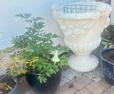 Classical Garden Urns