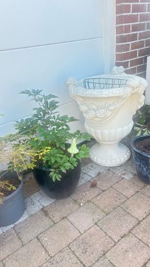 Classical Garden Urns