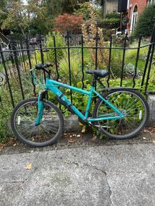 Apollo Ence mountain bike - teal