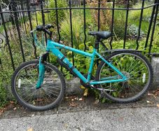Apollo Ence mountain bike - teal