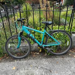 Apollo Ence mountain bike - teal