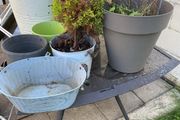 garden pots