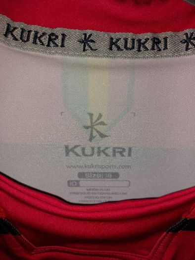 carlow it rugby jersey