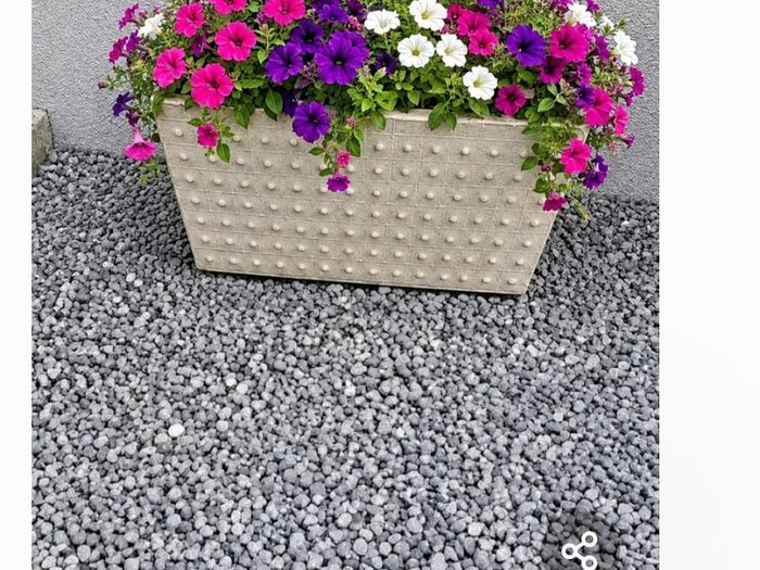 New Concrete planters
