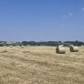 Hay Image 3