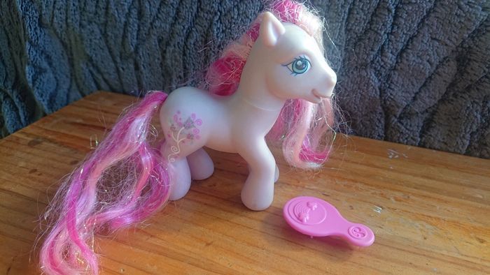 Ponies