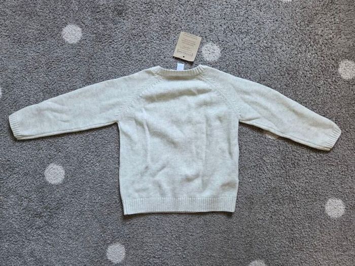 Sweatshirt / Jumper BNWT (9-12 months)