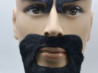 main image for ad Fake Beard, Party Costume, Halloween Costume