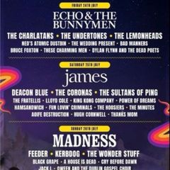 Forest Fest