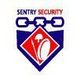 Sentry Security