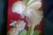 Flower Fairy Soap Summer