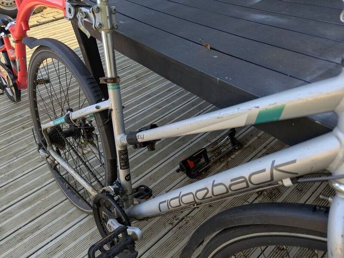 Ladies Ridgeback Velocity + Copilot Weeride