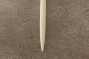 Antique  bone needle for crafts