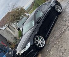 veemann alloys 19"
