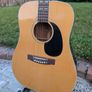 Angelica Vintage Acoustic Guitar Image 2