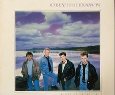 Cry before Dawn Crimes of conscience Lp Irish press