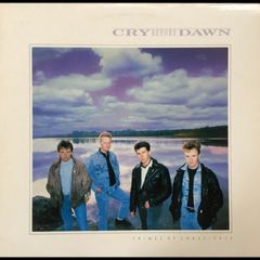 Cry before Dawn Crimes of conscience Lp Irish press