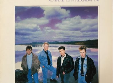 Cry before Dawn Crimes of conscience Lp Irish press