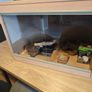 terrarium Image 4