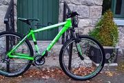 Mountain Bike Bargin