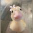Duckie