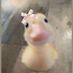 Duckie