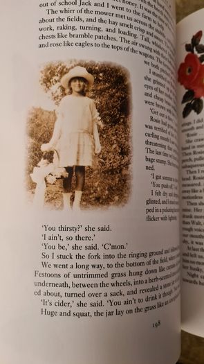 Cider With Rosie By Laurie Lee.   BEAUTIFUL ILLUSTRATED  EDITION 1989. Hardback With Dustjacket In Very Good Condition. Large Volume Book.