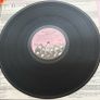 The Boomtown Rats Mondo Bongo 1980 Irish Release LP Vinyl Record with Posters Image 4