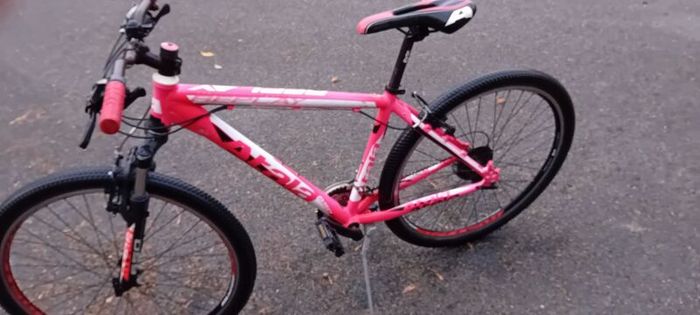 Bargin Mountain Bike