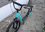 bmx scooter adult