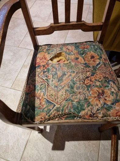 Antique Chairs x 6