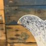 Victorian Staffordshire large jug Image 3