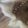 reindeer skin Image 3
