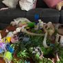 fish tank Image 6