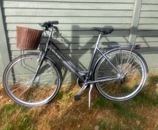 Raleigh Pioneer