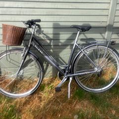 Raleigh Pioneer