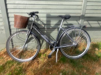 Raleigh Pioneer