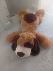 giant Teddy