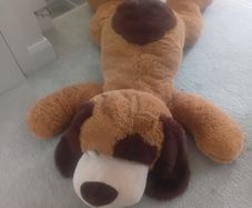 giant Teddy