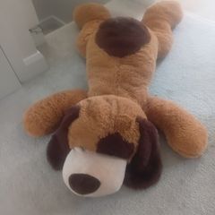 giant Teddy