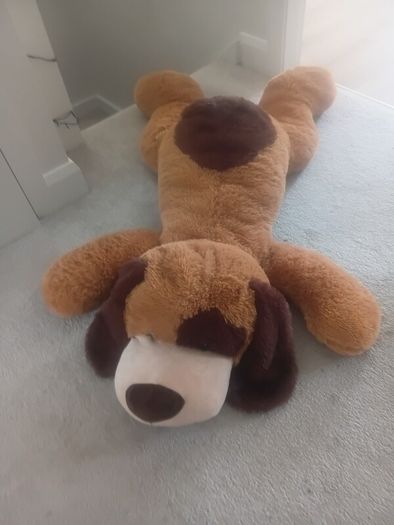 giant Teddy