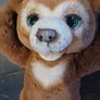 Cubby the Curious Bear Image 2