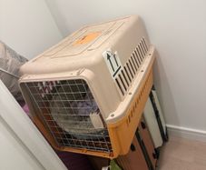 cat cage