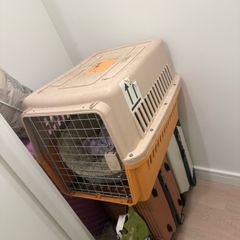 cat cage