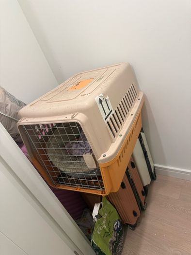 cat cage
