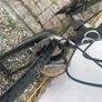 bike Image 4