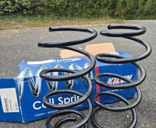Peugeot Expert Tepee Coil Springs