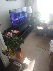 TV units
