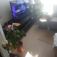 TV units