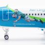 Aer Lingus, Supporters Of the,."Irish Rugby Team Image 5